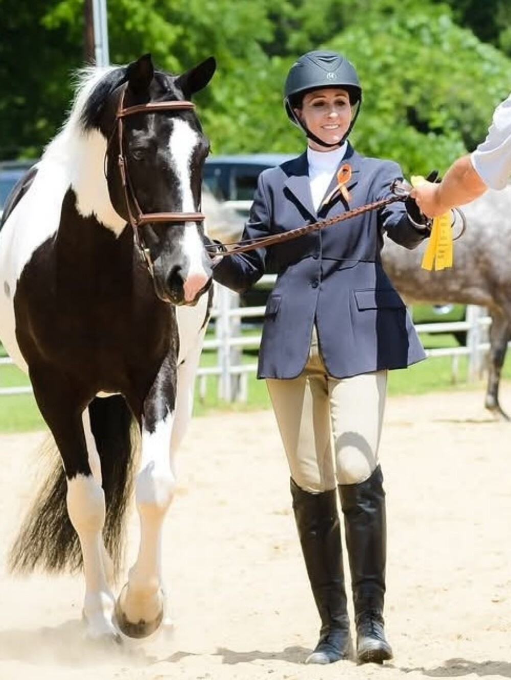 Ovation Full-Seat Breeches